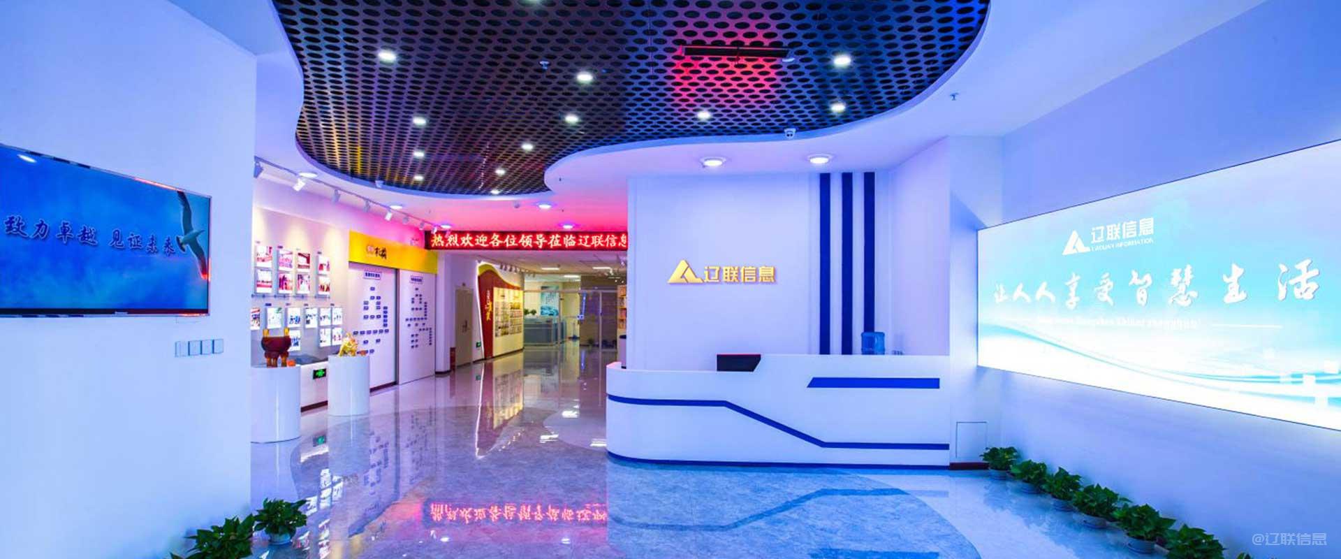 辽联信息财源大数据建设公共服务平台